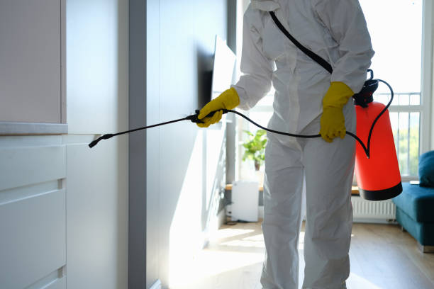 Crawl Space Mold Removal in Brookwood, AL